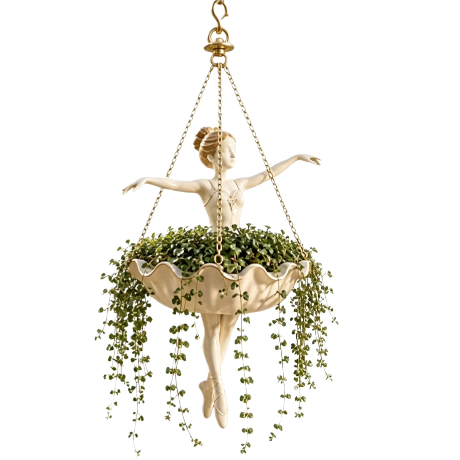 Подвесное кашпо «Балерина»: Пр – обзор и цена Spider Plant Hanging